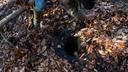 Joe Thomas clears leaves from an abandoned well on the Duke Center, Pa. property he and his wife, Cheryl, own.